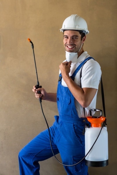 wespen bestrijding