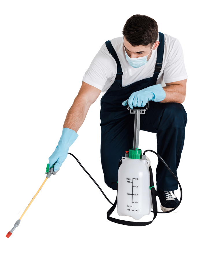 ongediertebestrijding-veelgestelde vragen